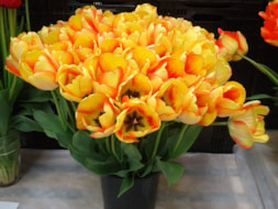 Beauty-of-Spring-(6)